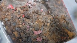 190410 62 Chevy Impala (10).JPG